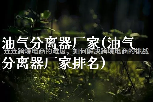 油气分离器厂家(油气分离器厂家排名)_https://www.gdbxwh.com_开网店_第1张