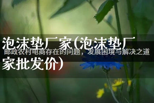 泡沫垫厂家(泡沫垫厂家批发价)_https://www.gdbxwh.com_直通车_第1张