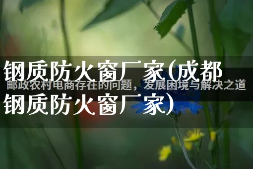 钢质防火窗厂家(成都钢质防火窗厂家)_https://www.gdbxwh.com_淘宝运营_第1张