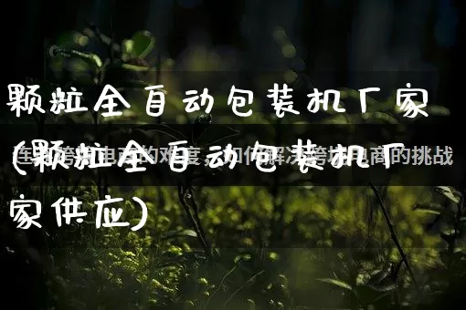 颗粒全自动包装机厂家(颗粒全自动包装机厂家供应)_https://www.gdbxwh.com_淘宝运营_第1张