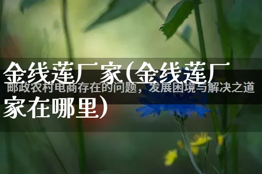 金线莲厂家(金线莲厂家在哪里)_https://www.gdbxwh.com_淘宝运营_第1张