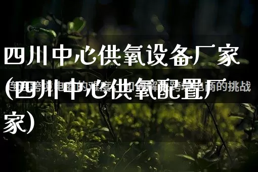 四川中心供氧设备厂家(四川中心供氧配置厂家)_https://www.gdbxwh.com_代运营_第1张