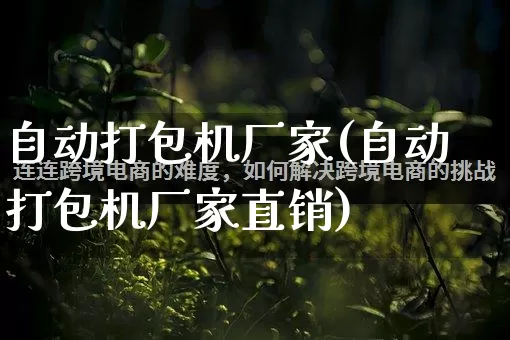 自动打包机厂家(自动打包机厂家直销)_https://www.gdbxwh.com_淘宝运营_第1张