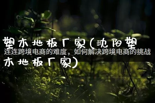 塑木地板厂家(沈阳塑木地板厂家)_https://www.gdbxwh.com_天猫运营_第1张