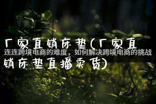 厂家直销床垫(厂家直销床垫直播卖货)_https://www.gdbxwh.com_代运营_第1张