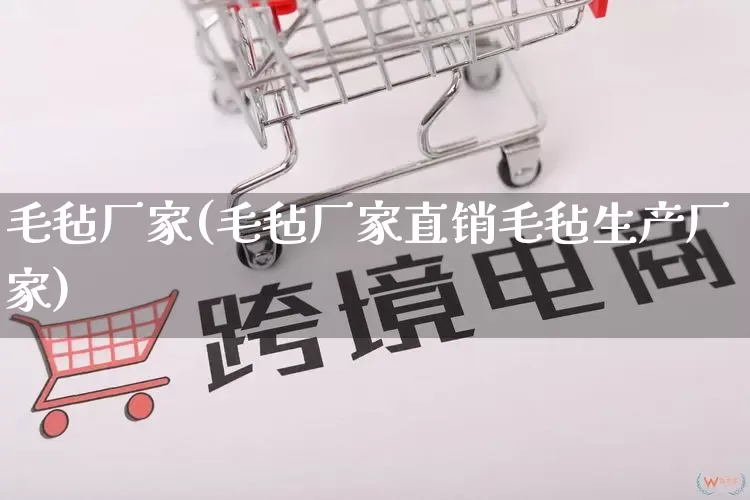 毛毡厂家(毛毡厂家直销毛毡生产厂家)_https://www.gdbxwh.com_抖音快手_第1张