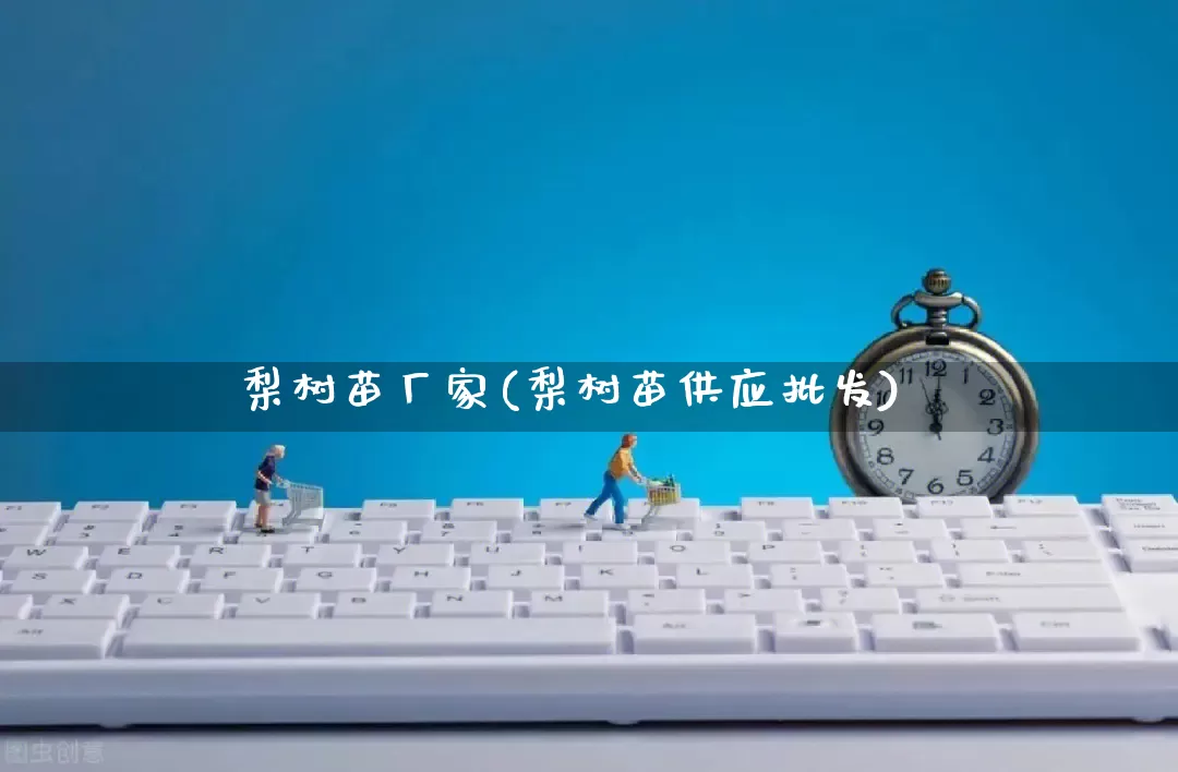 梨树苗厂家(梨树苗供应批发)_https://www.gdbxwh.com_抖音快手_第1张
