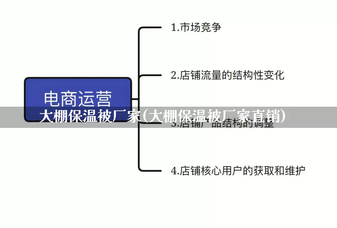 大棚保温被厂家(大棚保温被厂家直销)_https://www.gdbxwh.com_淘宝运营_第1张