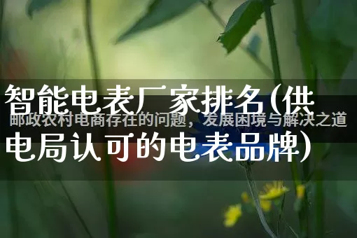 智能电表厂家排名(供电局认可的电表品牌)_https://www.gdbxwh.com_淘宝运营_第1张