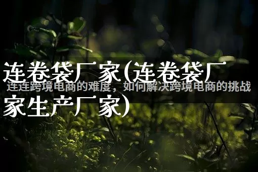 连卷袋厂家(连卷袋厂家生产厂家)_https://www.gdbxwh.com_淘宝运营_第1张