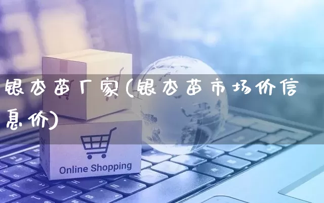 银杏苗厂家(银杏苗市场价信息价)_https://www.gdbxwh.com_淘宝运营_第1张