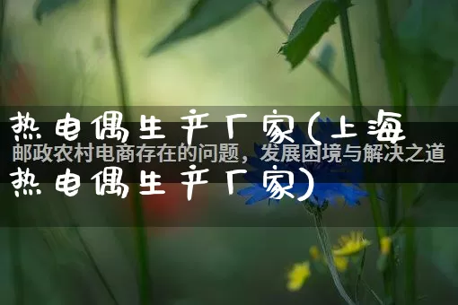 热电偶生产厂家(上海热电偶生产厂家)_https://www.gdbxwh.com_淘宝运营_第1张