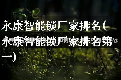 永康智能锁厂家排名(永康智能锁厂家排名第一)_https://www.gdbxwh.com_淘宝运营_第1张