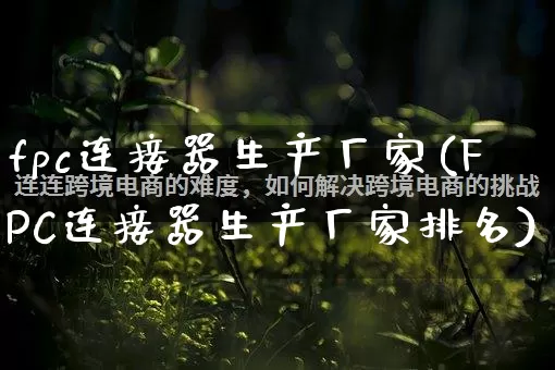 fpc连接器生产厂家(FPC连接器生产厂家排名)_https://www.gdbxwh.com_开网店_第1张