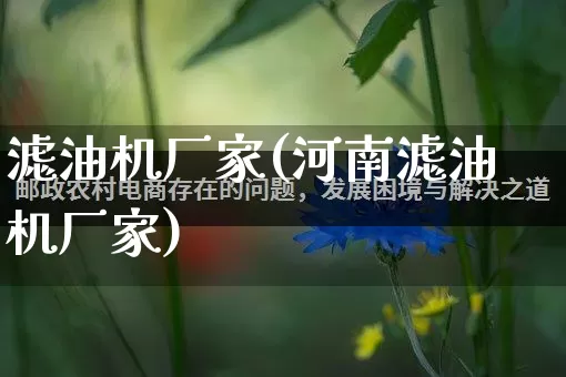 滤油机厂家(河南滤油机厂家)_https://www.gdbxwh.com_代运营_第1张
