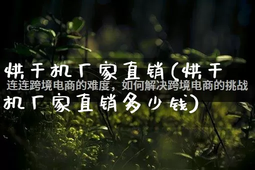 烘干机厂家直销(烘干机厂家直销多少钱)_https://www.gdbxwh.com_抖音快手_第1张