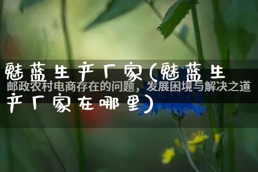 魅蓝生产厂家(魅蓝生产厂家在哪里)_https://www.gdbxwh.com_开网店_第1张