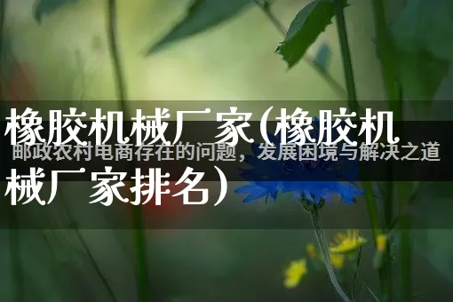 橡胶机械厂家(橡胶机械厂家排名)_https://www.gdbxwh.com_开网店_第1张