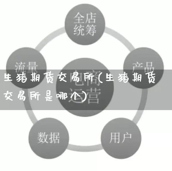 生猪期货交易所(生猪期货交易所是哪个)_https://www.gdbxwh.com_代运营_第1张