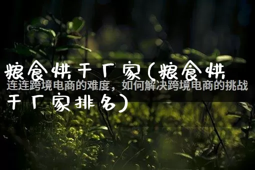 粮食烘干厂家(粮食烘干厂家排名)_https://www.gdbxwh.com_天猫运营_第1张