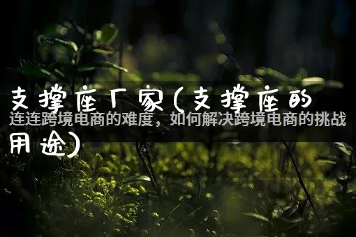 支撑座厂家(支撑座的用途)_https://www.gdbxwh.com_开网店_第1张