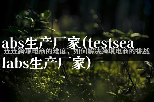 abs生产厂家(testsealabs生产厂家)_https://www.gdbxwh.com_代运营_第1张
