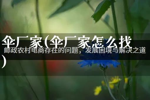 伞厂家(伞厂家怎么找)_https://www.gdbxwh.com_抖音快手_第1张