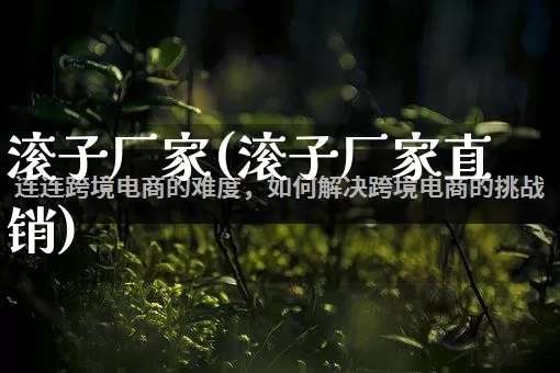 滚子厂家(滚子厂家直销)_https://www.gdbxwh.com_淘宝运营_第1张