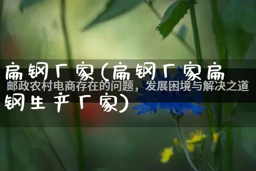 扁钢厂家(扁钢厂家扁钢生产厂家)_https://www.gdbxwh.com_代运营_第1张