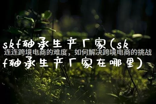 skf轴承生产厂家(skf轴承生产厂家在哪里)_https://www.gdbxwh.com_淘宝运营_第1张
