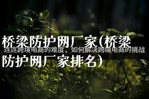 桥梁防护网厂家(桥梁防护网厂家排名)_https://www.gdbxwh.com_抖音快手_第1张