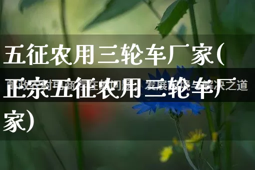 五征农用三轮车厂家(正宗五征农用三轮车厂家)_https://www.gdbxwh.com_直通车_第1张