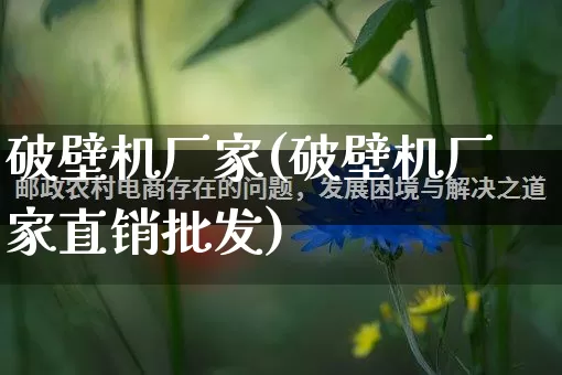 破壁机厂家(破壁机厂家直销批发)_https://www.gdbxwh.com_天猫运营_第1张