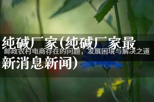 纯碱厂家(纯碱厂家最新消息新闻)_https://www.gdbxwh.com_淘宝运营_第1张