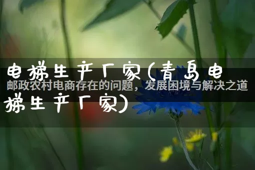 电梯生产厂家(青岛电梯生产厂家)_https://www.gdbxwh.com_天猫运营_第1张